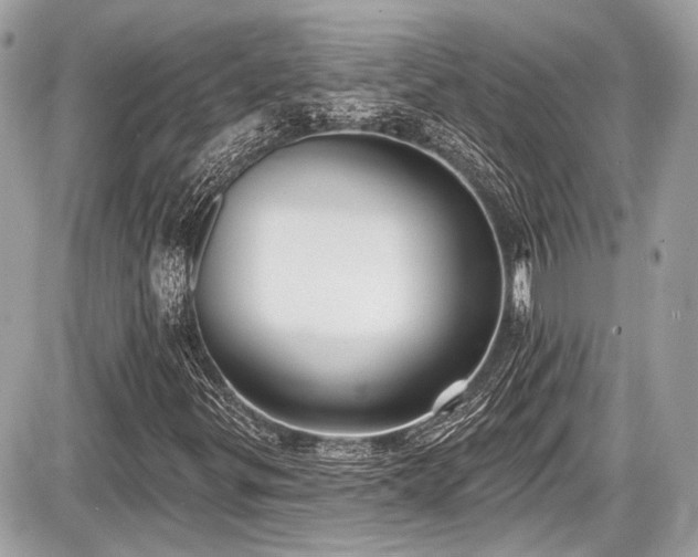 X0000087511299200705040939