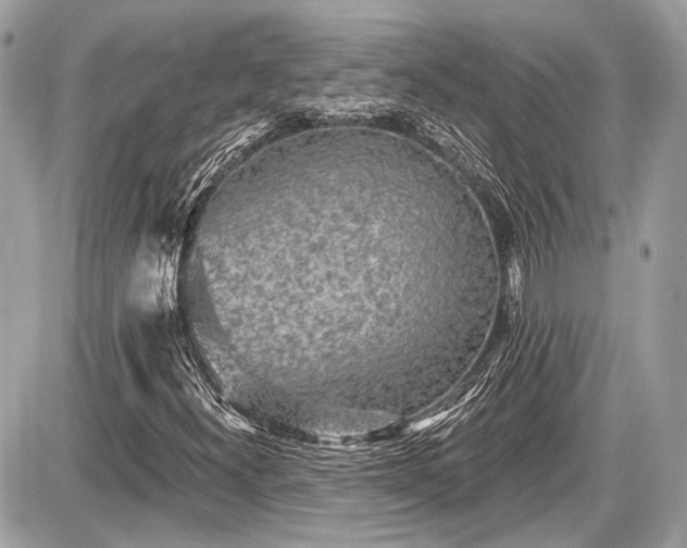 X0000087511300200705040939
