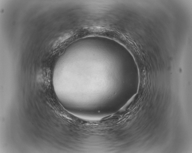 X0000087511301200705040939