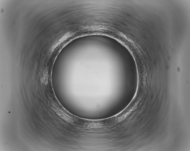 X0000087511306200705040939