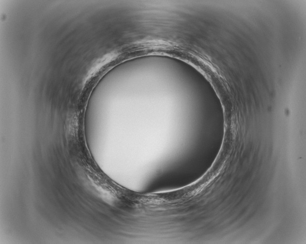 X0000087511309200705040939