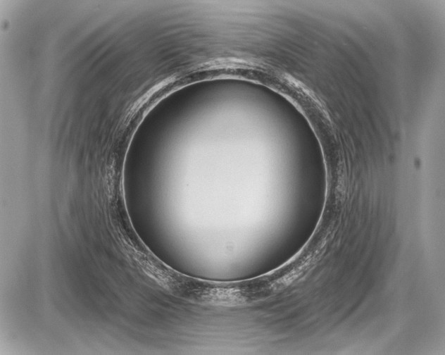 X0000087511313200705040939