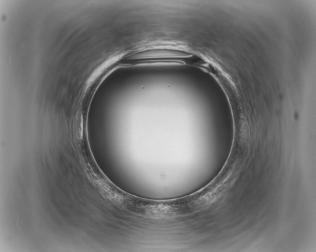 X0000087511317200705040939