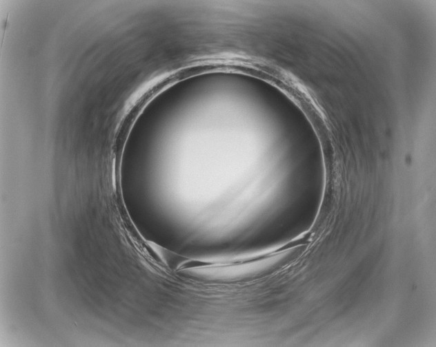 X0000087511320200705040939