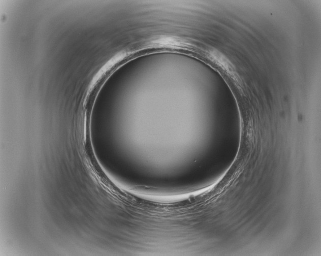 X0000087511323200705040939