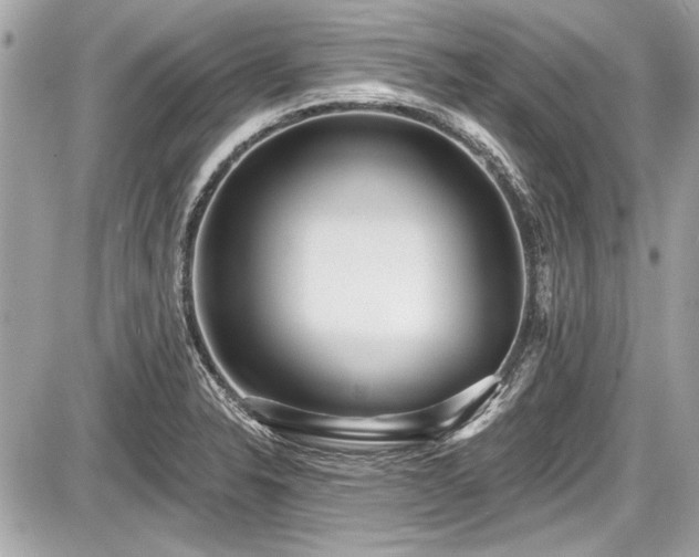X0000087511326200705040939