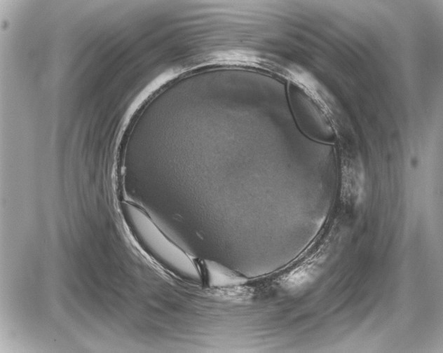 X0000087511331200705040939