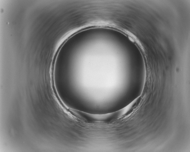 X0000087511343200705040939