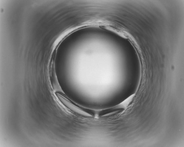 X0000087511344200705040939