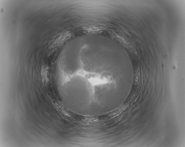 X0000087511346200705040939