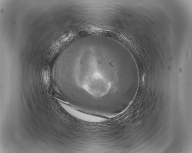 X0000087511348200705040939