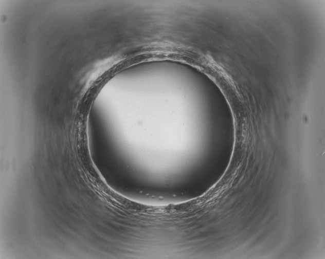 X0000087511352200705040938