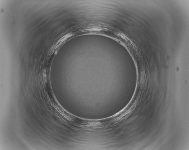 X0000087511353200705040938