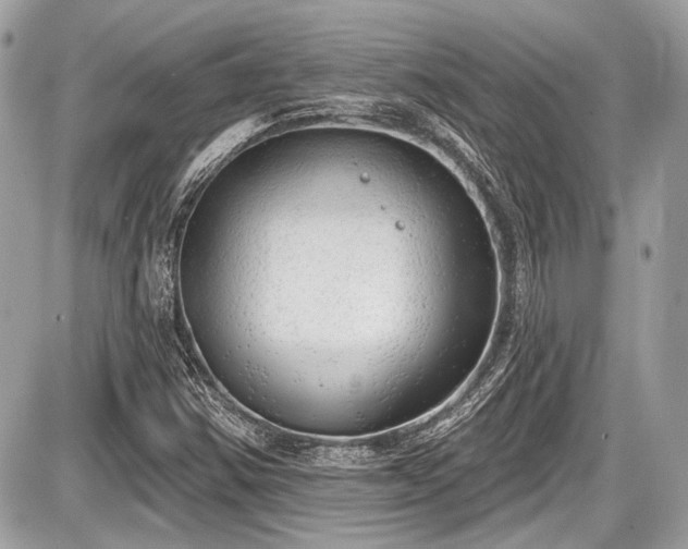X0000087511354200705040938