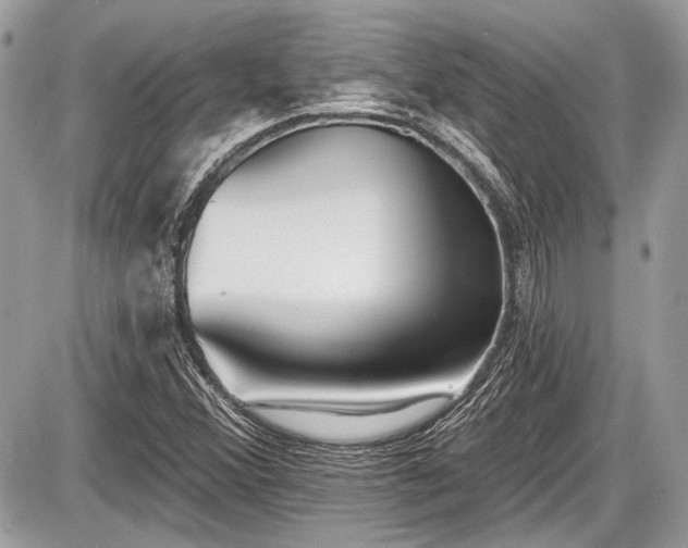 X0000087511356200705040938