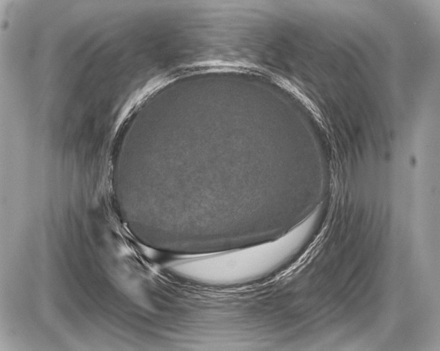 X0000087511357200705040938