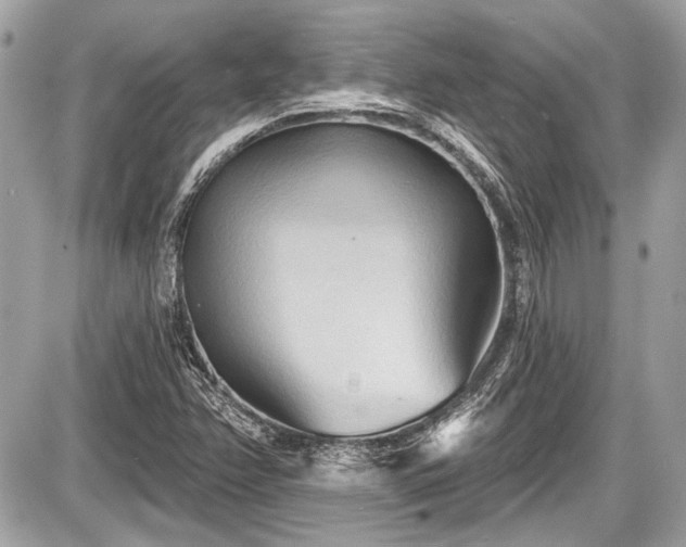 X0000087511358200705040938