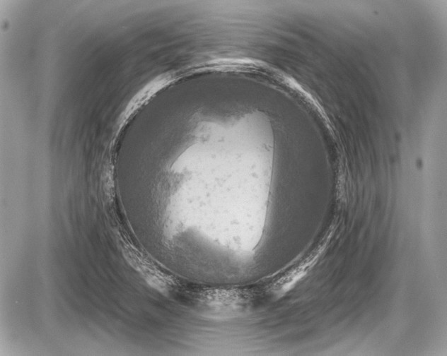 X0000087511362200705040938