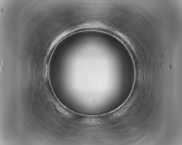X0000087511366200705040938