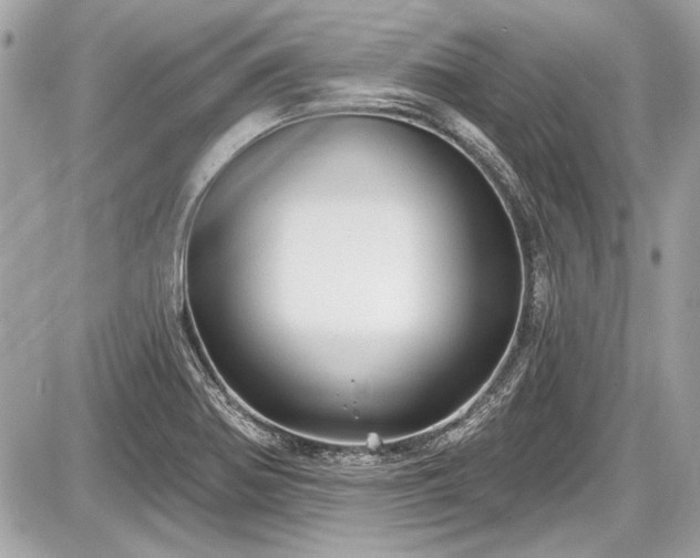 X0000087511370200705040938
