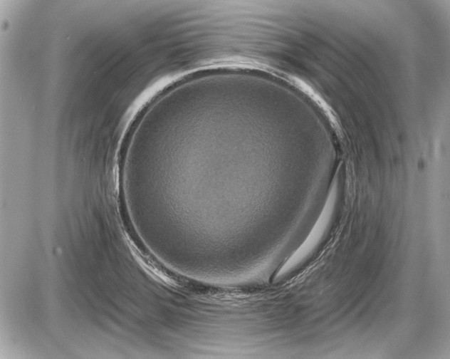 X0000087511372200705040938