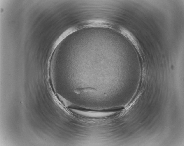 X0000087511386200705040938
