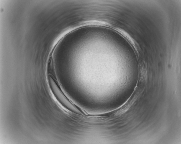 X0000087511391200705040938