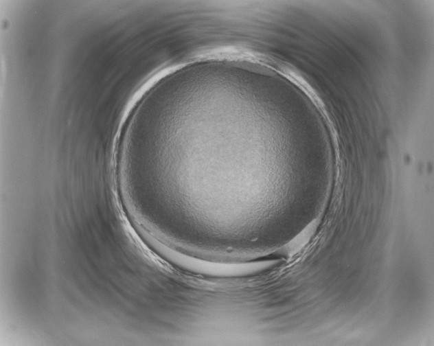 X0000087511392200705040938