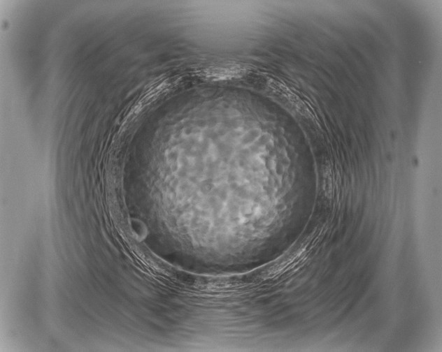 X0000087511393200705040937