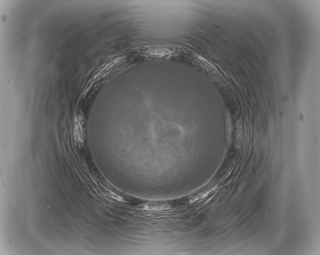 X0000087511394200705040937