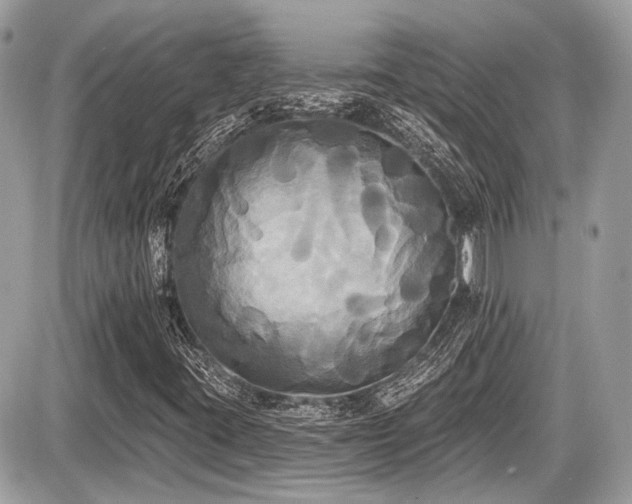 X0000087511395200705040937