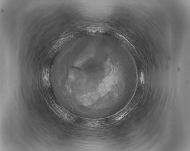 X0000087511396200705040937