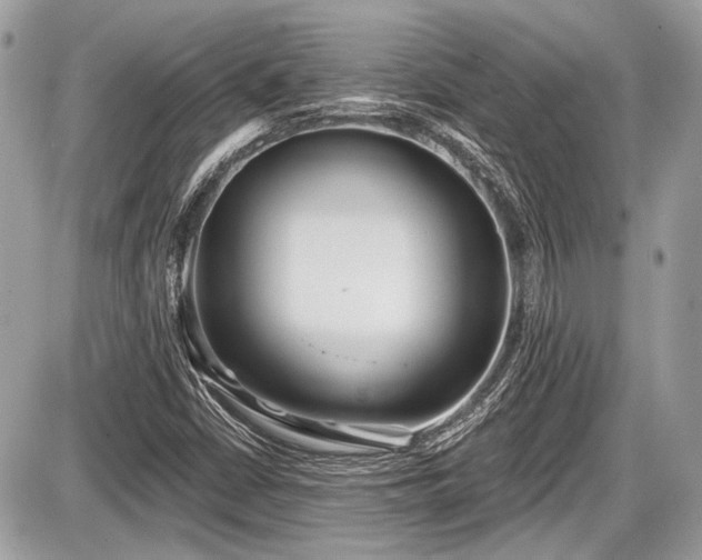 X0000087511402200705040937