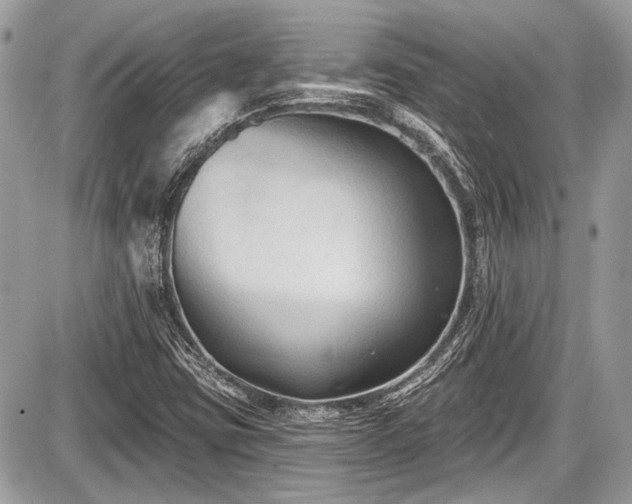 X0000087511403200705040937