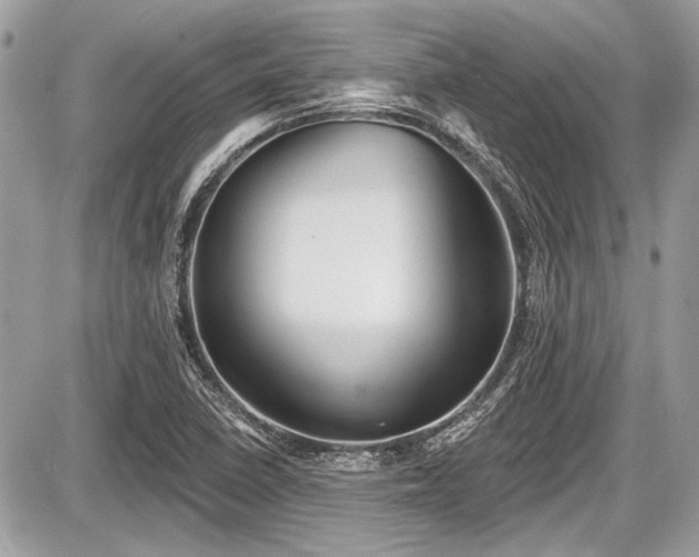 X0000087511410200705040937