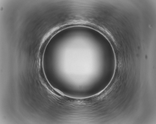 X0000087511414200705040937