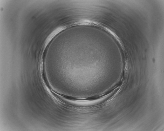 X0000087511418200705040937