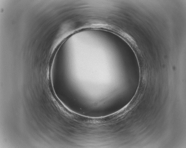 X0000087511420200705040937