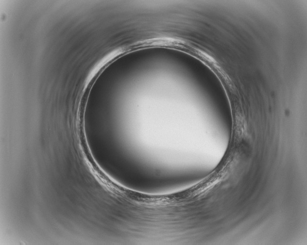 X0000087511426200705040938