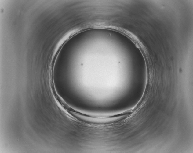 X0000087511432200705040938