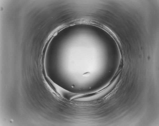 X0000087511434200705040938