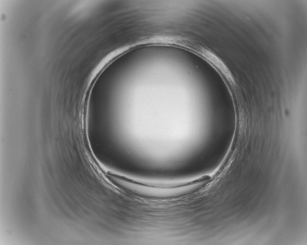 X0000087511436200705040938