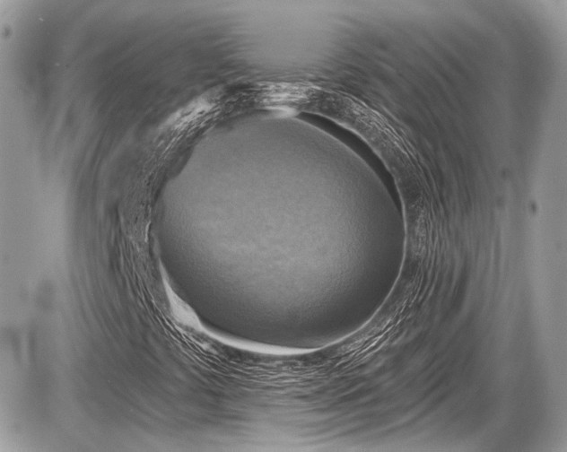 X0000087511441200705040937