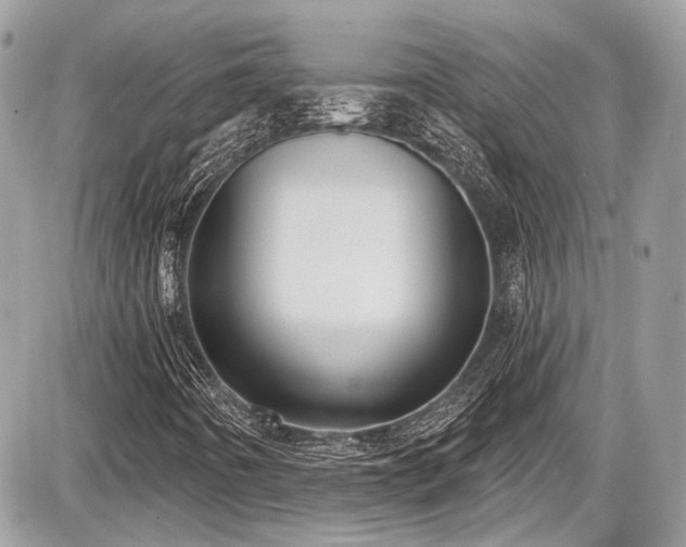 X0000087511442200705040937