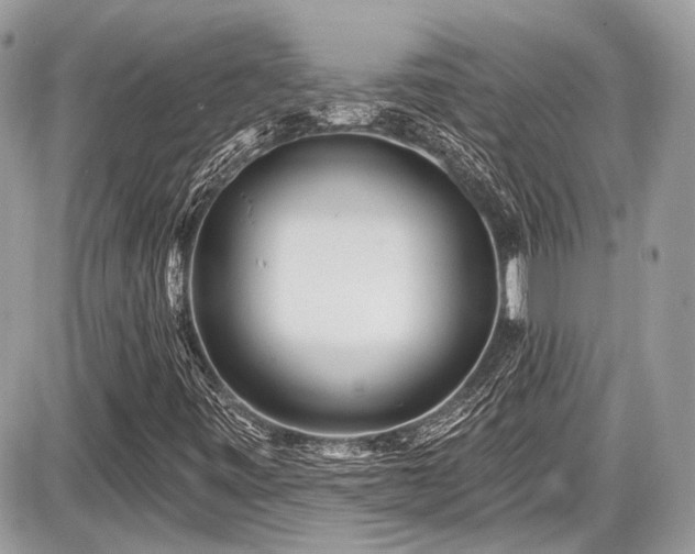 X0000087511443200705040937
