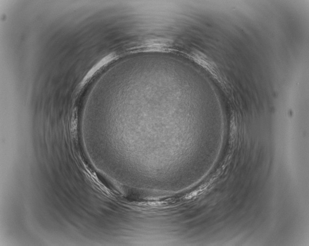 X0000087511450200705040937