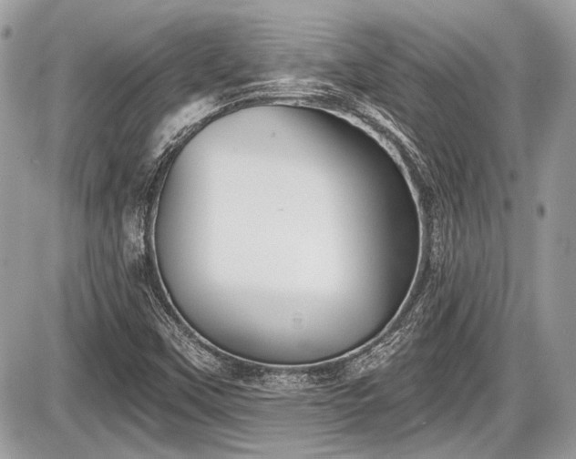 X0000087511451200705040937