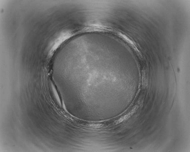 X0000087511453200705040937