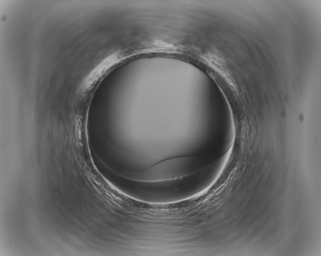 X0000087511455200705040937