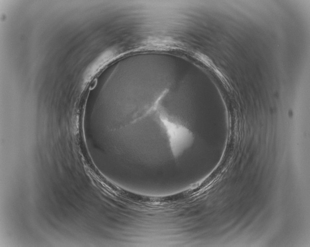 X0000087511459200705040937